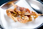Soft Shell Crab